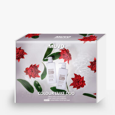 Colour Luxe Box with horizon